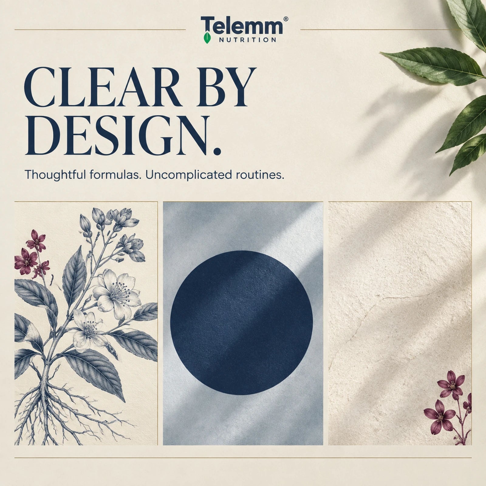 TELEMM: Clear by design. Thoughtful formulas. Uncomplicated routines. Botanical illustration, blue mineral form and natural paper.
