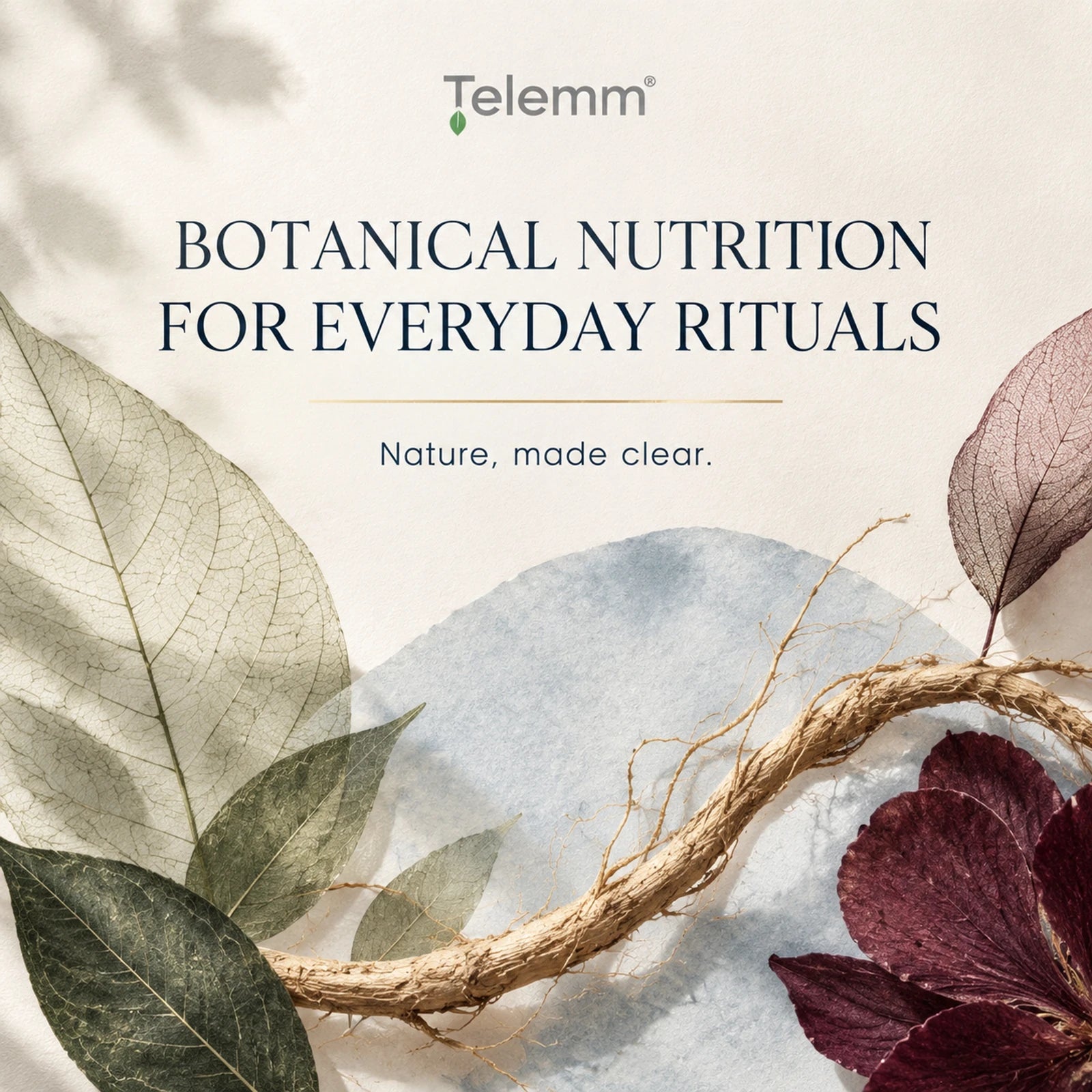 TELEMM botanical nutrition for everyday rituals. Nature, made clear. Leaves, roots and mineral textures.