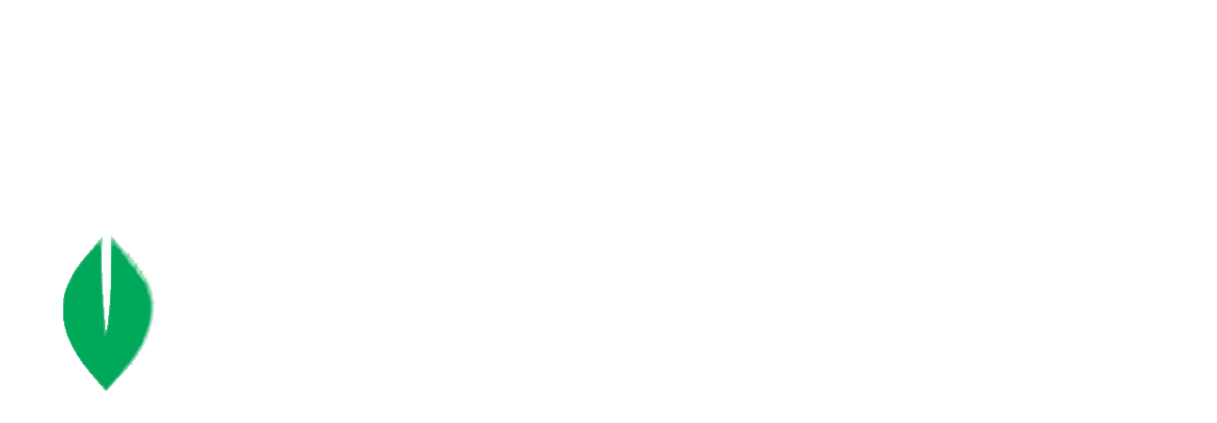 TELEMM
